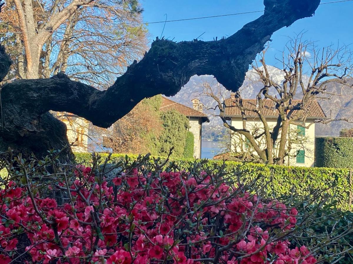 Villa Magnolia - Lake Como 莱诺 外观 照片